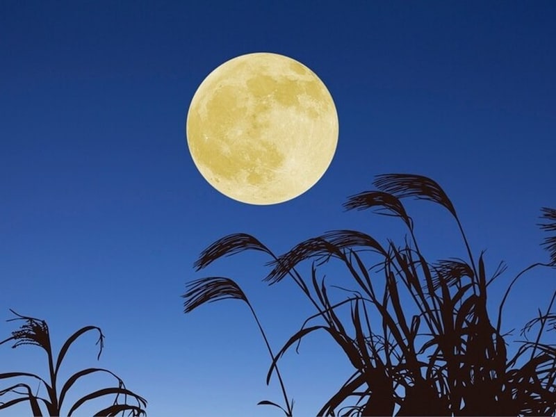 十三夜は十五夜に次いで美しい月だといわれています