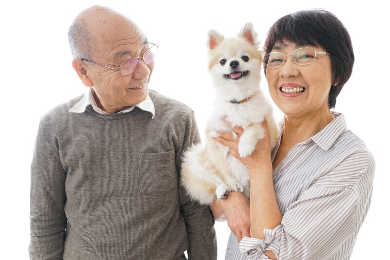 ペット,家族,愛犬,愛猫,宝,ペットロス,ペットロス症候群