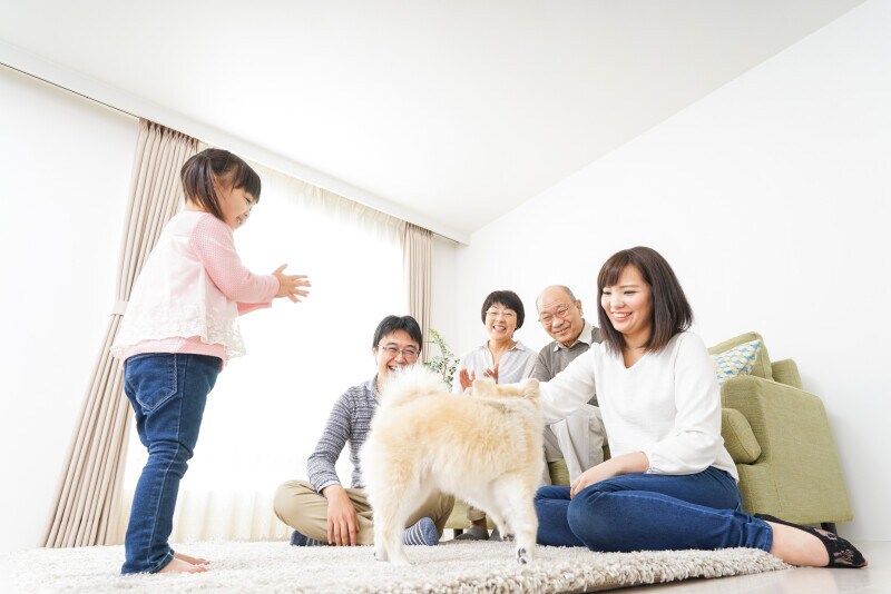 ペット,愛犬,愛猫,我が子,家族,宝