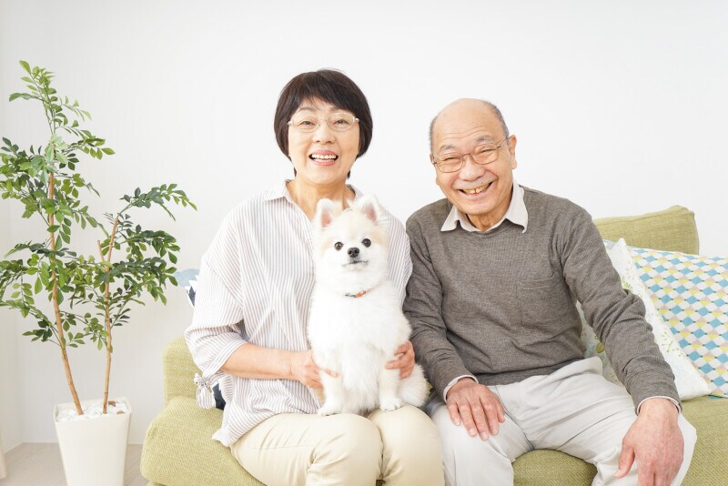高齢者,シニア,ペット,存在,家族
