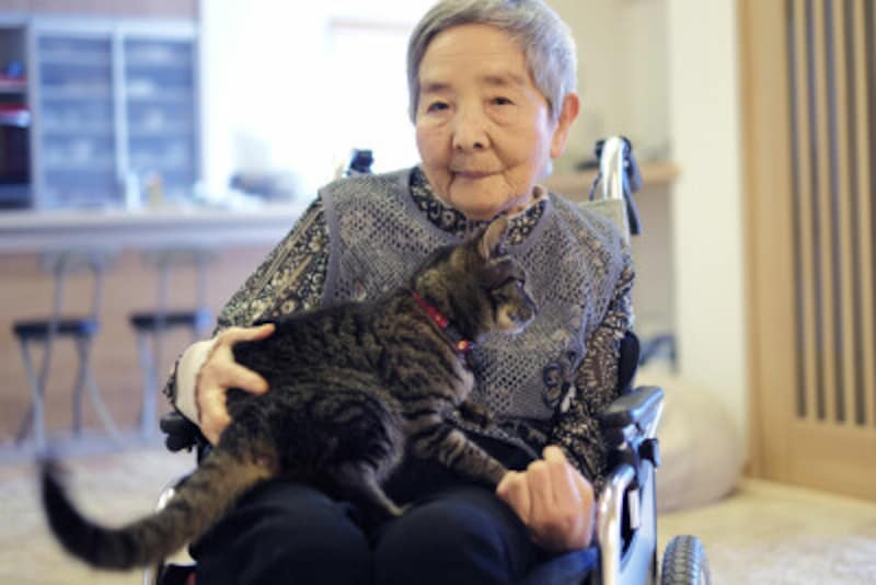 コロナ禍で高齢者の ペットロス が長期化 最愛のペットを見送った飼い主には重すぎる7つの言葉 犬 All About