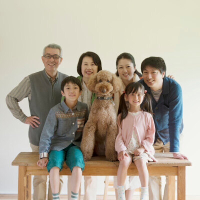 ペットロス 悲しみの温度差 にもう悩まない 世代で違うペットロスの特徴と対処法 犬 All About