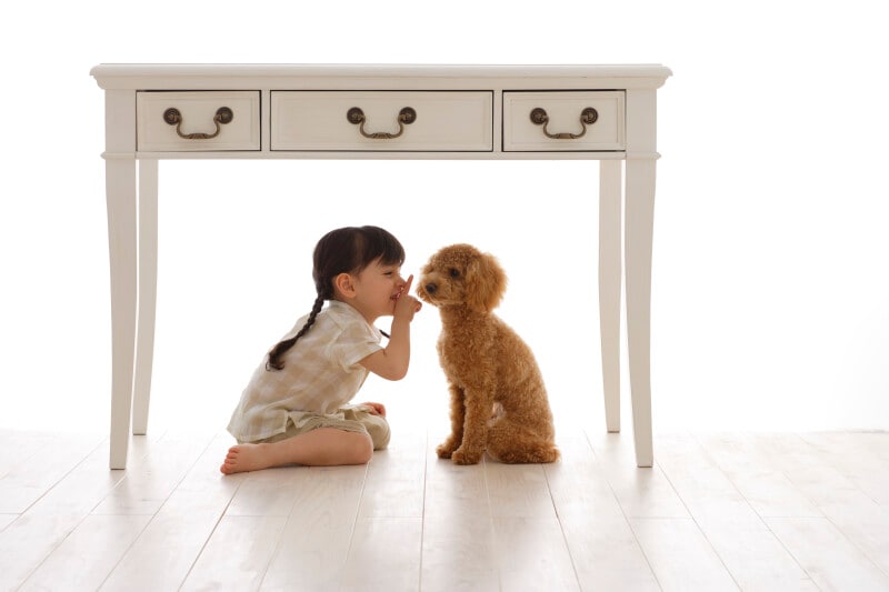 子供,ペットロス,ペットロス症候群,友達