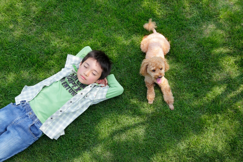 思春期,ペットロス,ペットロス症候群,大人,友達,子供