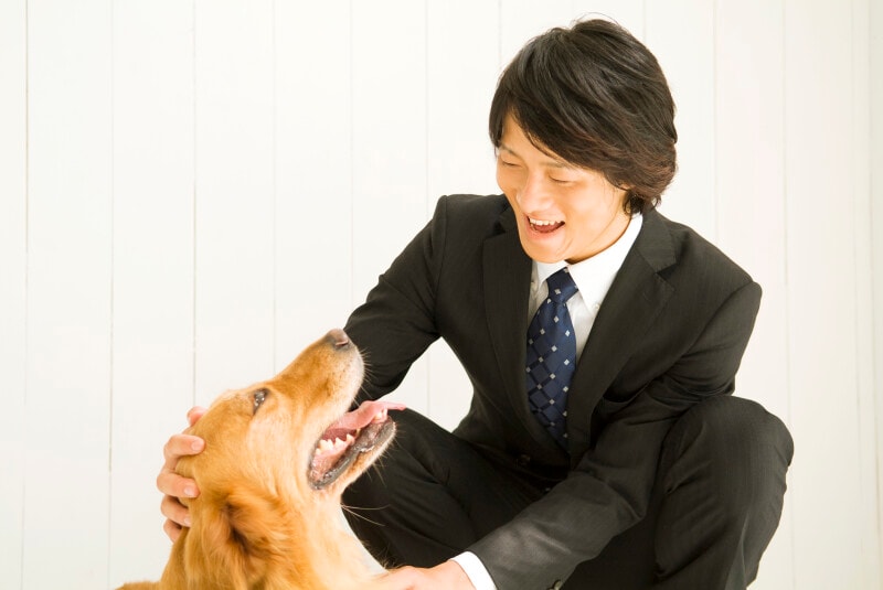 ペットロス,ペットロス症候群,社会人,仕事,つらい,