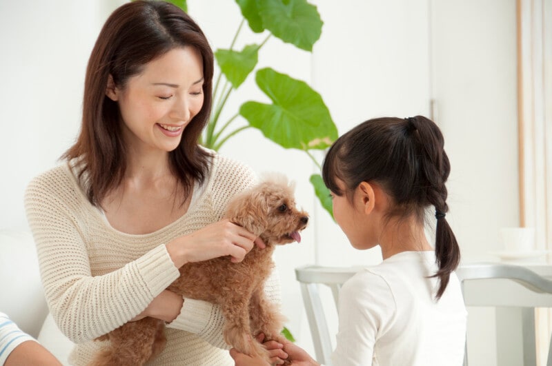 子育て,ママ,ペットロス,心配,悩み,ペットロス症候群