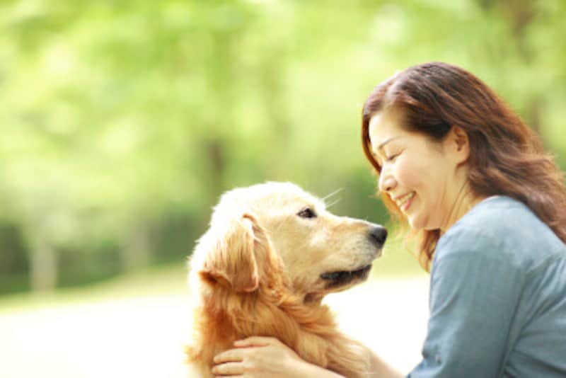 ペットロス「悲しみの温度差」にもう悩まない！世代で違うペットロスの特徴と対処法 [犬] All About