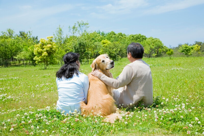子育て世代ペット生きがい子供