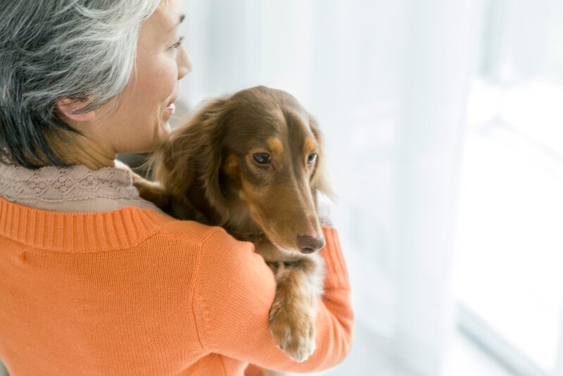 高齢者,ペット,健康,心身