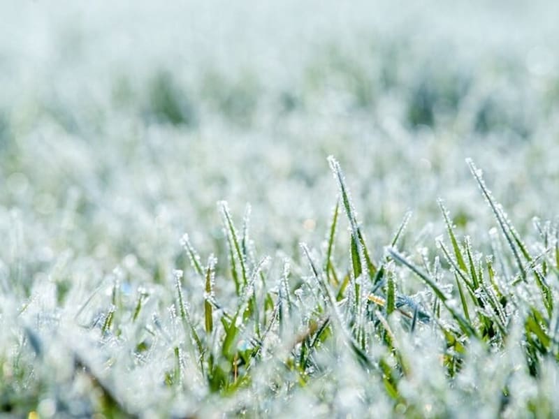 「立冬」から2月初旬の立春の前日までが暦のうえでは冬になります