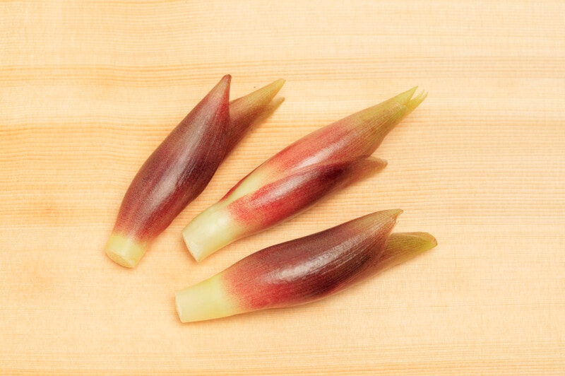 ミョウガの保存方法