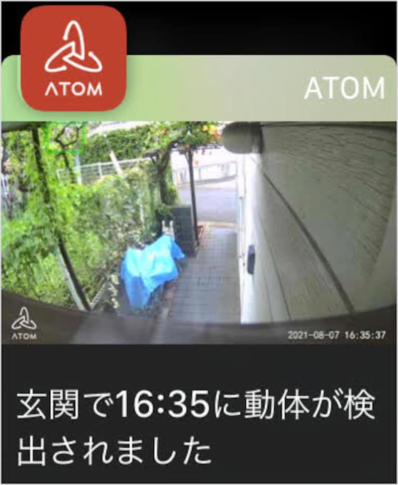 タップすると映像を確認できます