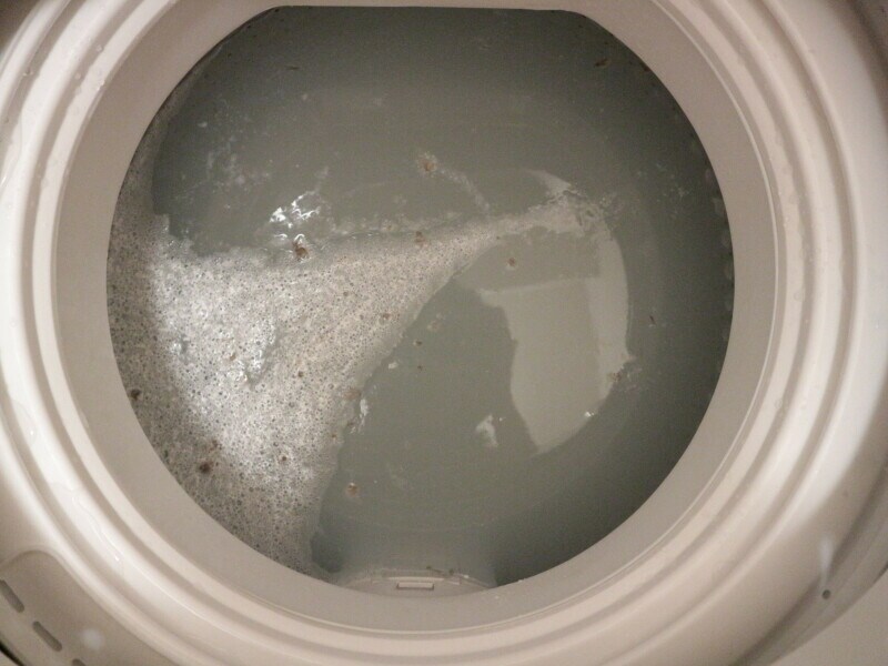 ひと晩放置した後に洗濯槽に浮いたカビ