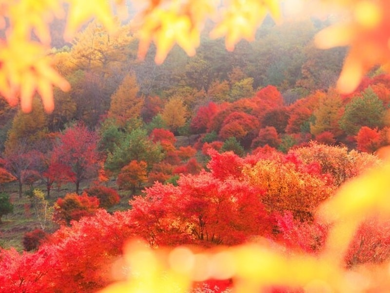 10月上旬・中旬・下旬の季節の挨拶