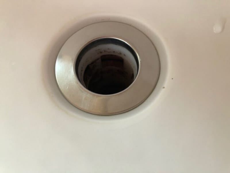 排水口がやばい……