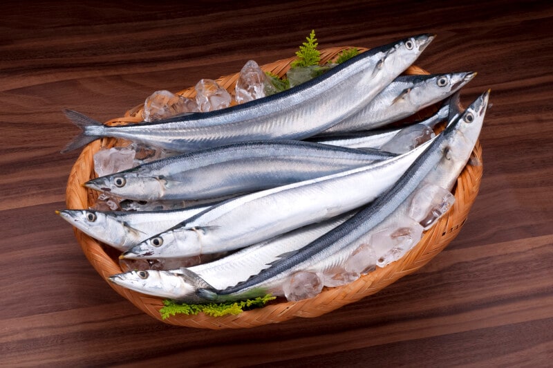魚　チルド室に入れるもの