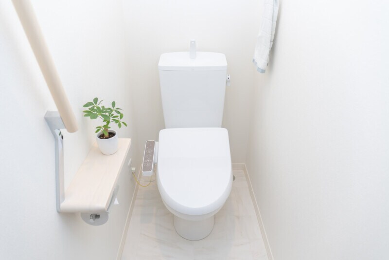 トイレ掃除したてのトイレ