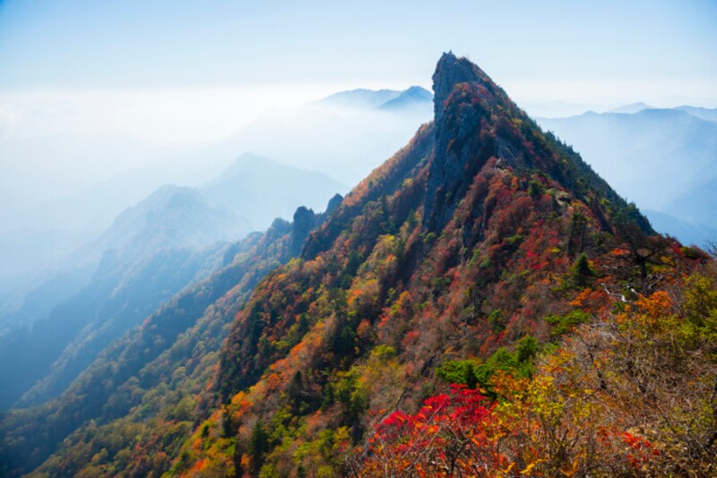 紅葉前線は北から南へ、高度の高い山頂から低いふもとへと進みます