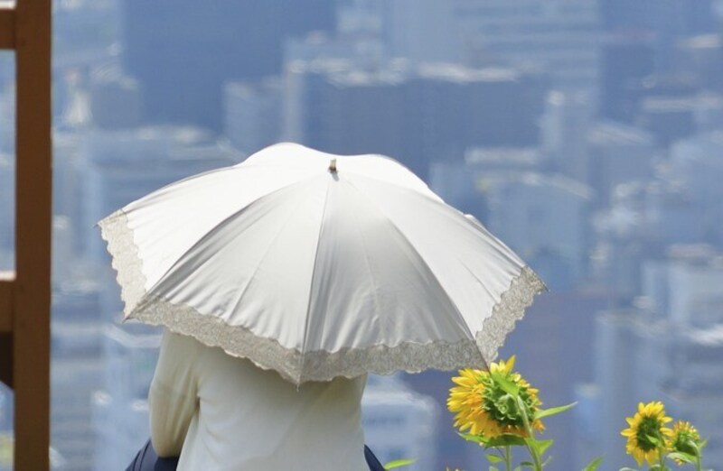 日傘の洗い方