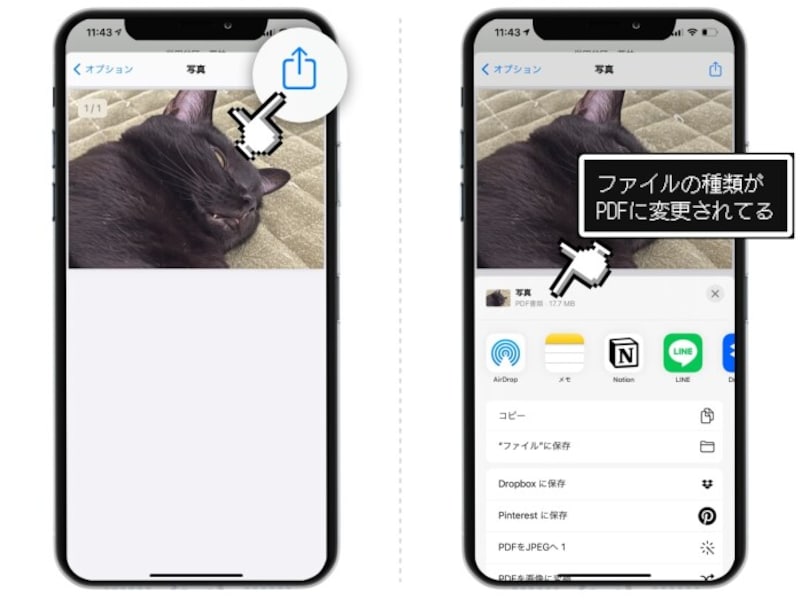 Iphoneであらゆるpdfを保存する方法まとめ 写真 メール Webページ等に対応 Iphone All About