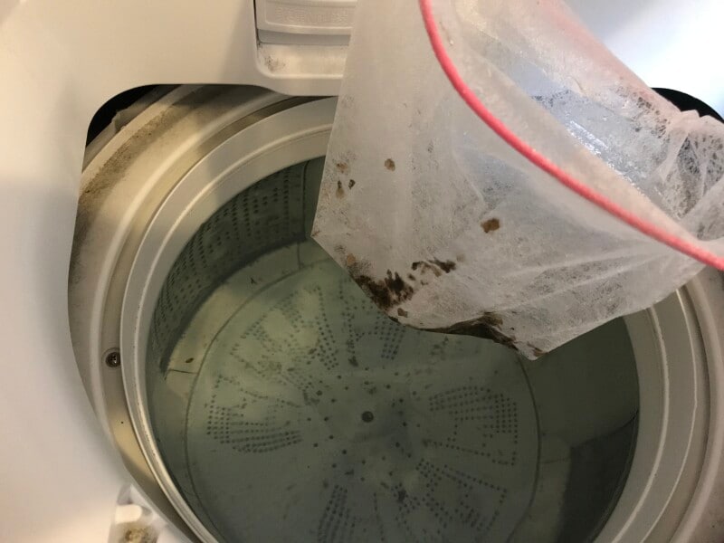 すくいあげるとカビたちが袋内にびっしり。溜まったら新しい袋に交換しないと、すくう時に逆流する悲劇も。