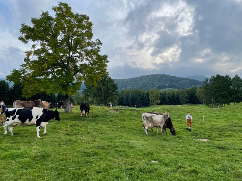 ファームエリア