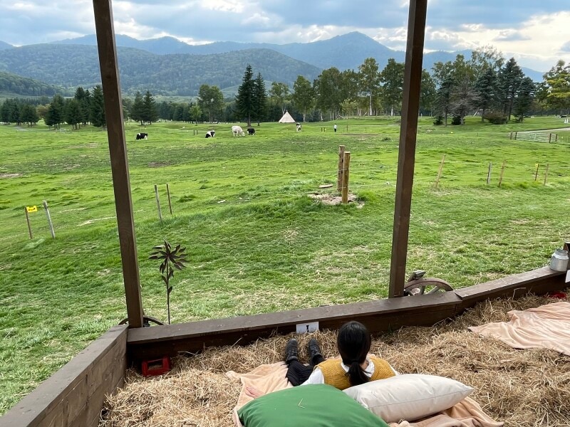巨大牧草ベッド。牛を近くに感じながらのんびり