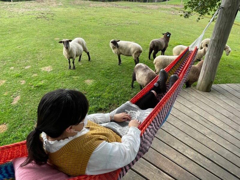 羊とお昼寝ハンモック。メーメー鳴かれて、お昼寝どころではありません！