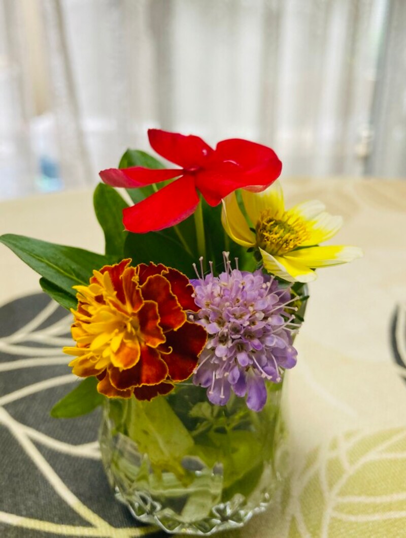 リビングが華やかに