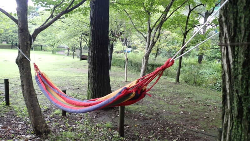 ダイソーの「ハンモック」(550円)