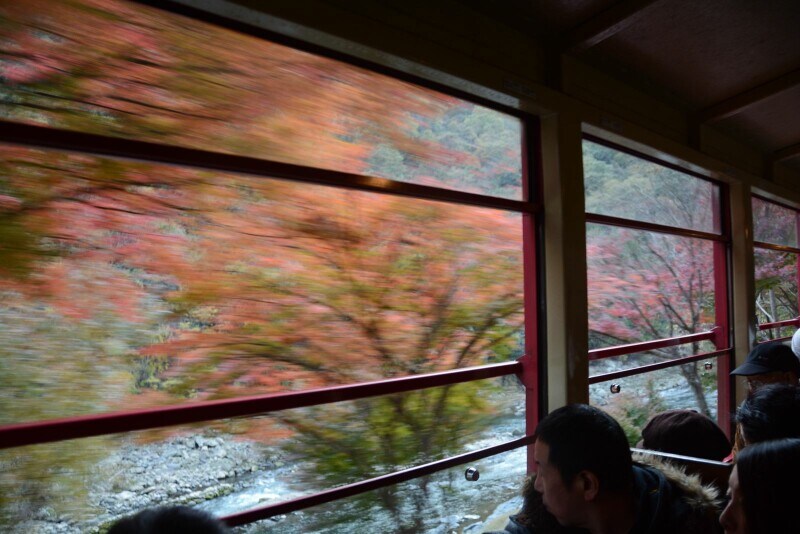 車内から紅葉狩り