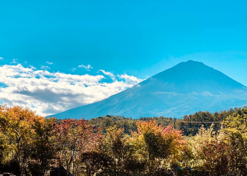 アブラサスホテル07