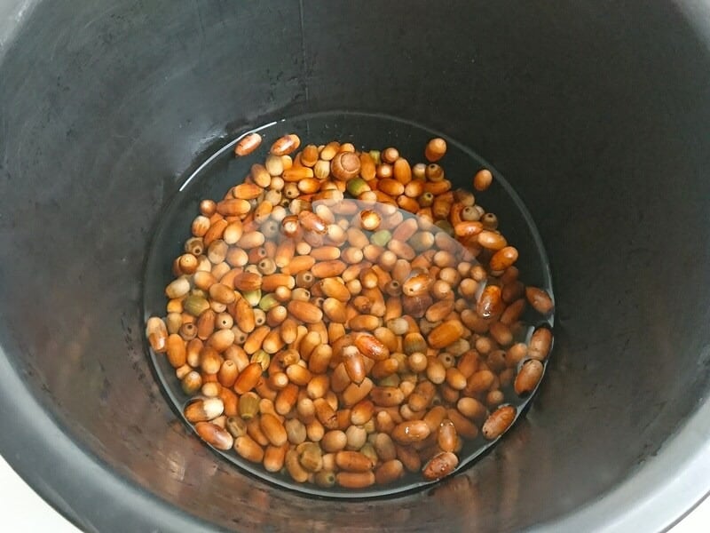 水を入れて浮かんできたどんぐりは中に虫がいるかも