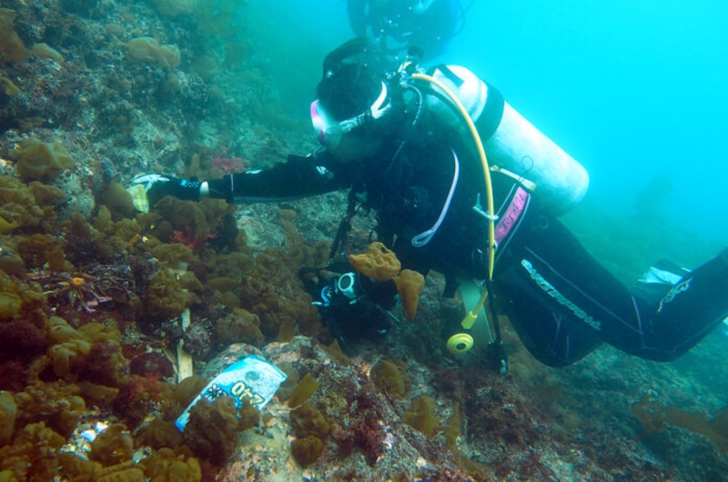 海の中に潜ると、海底にもいろいろなごみが沈んでいます。