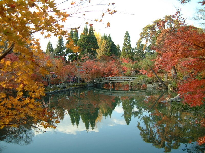 永観堂の紅葉