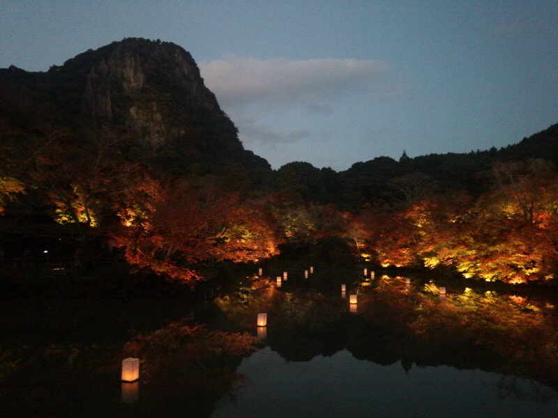 御船山楽園の紅葉ライトアップ