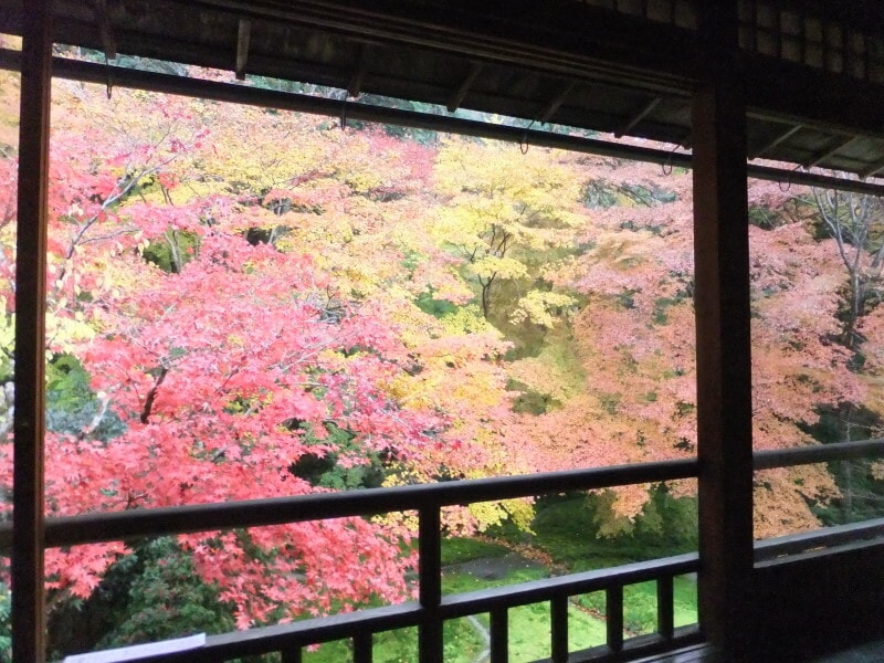 瑠璃光院の紅葉