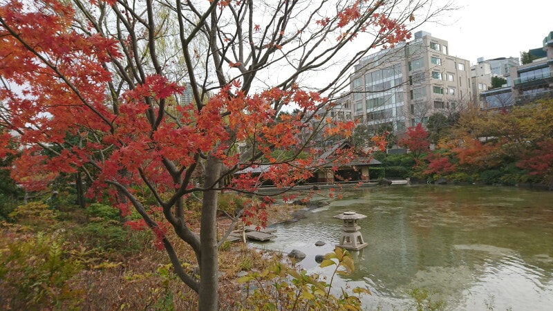 檜町公園の紅葉