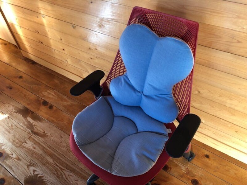 Platzのざぶ座布・ざぶざぶ背当て