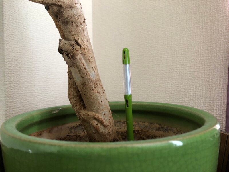 サスティー