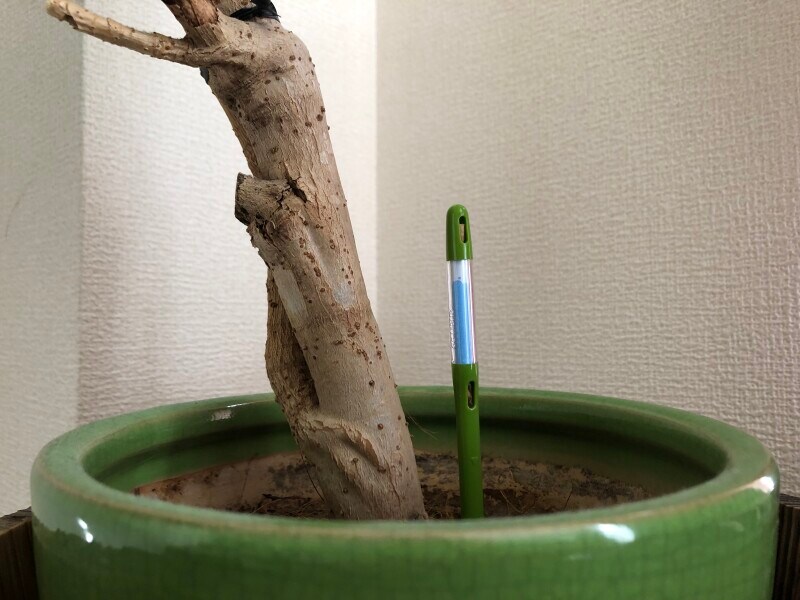サスティー