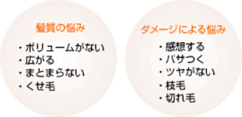 モルトベーネ「トレチャージ・プラス」