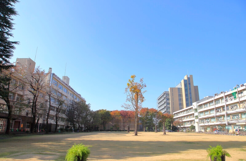 発達障害の子どもの学び場選び