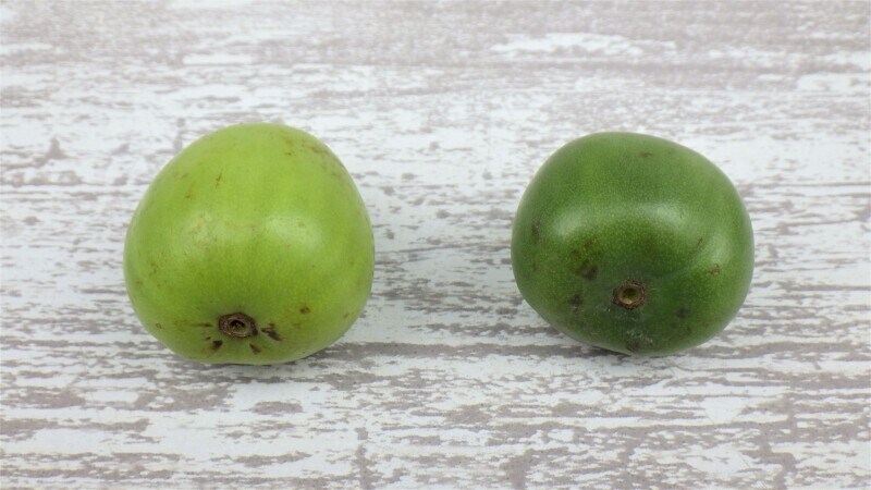 コストコのベビーキウイ