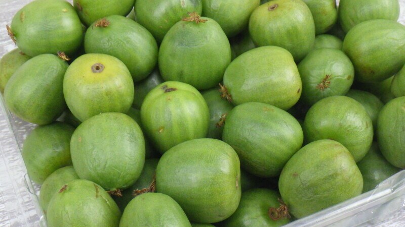 コストコのベビーキウイ