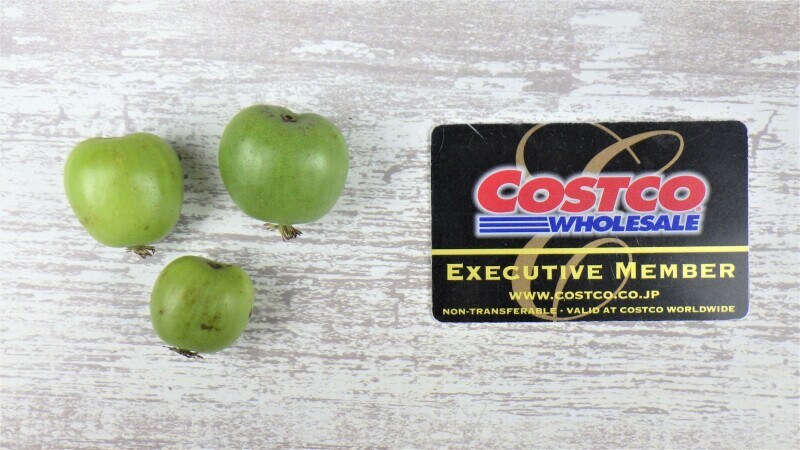 コストコのベビーキウイ