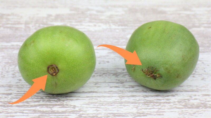 コストコのベビーキウイ