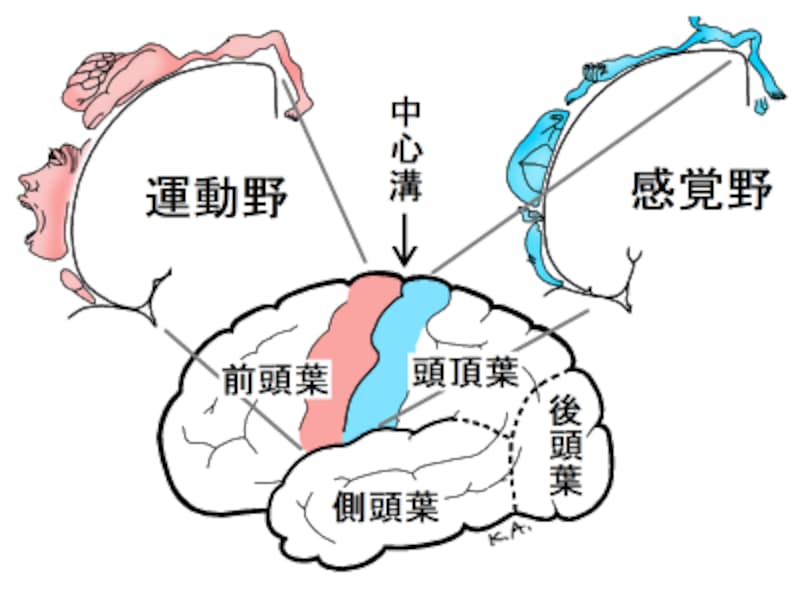 新しいマッピング方法のおかげで、月の表面のより正確な地図を取得できるようになりました