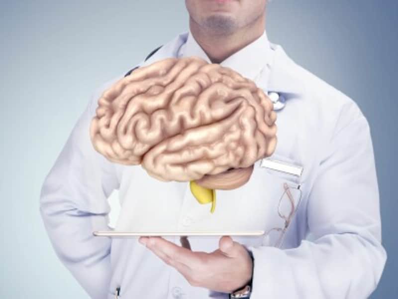 前頭葉・頭頂葉などの大脳皮質の部位