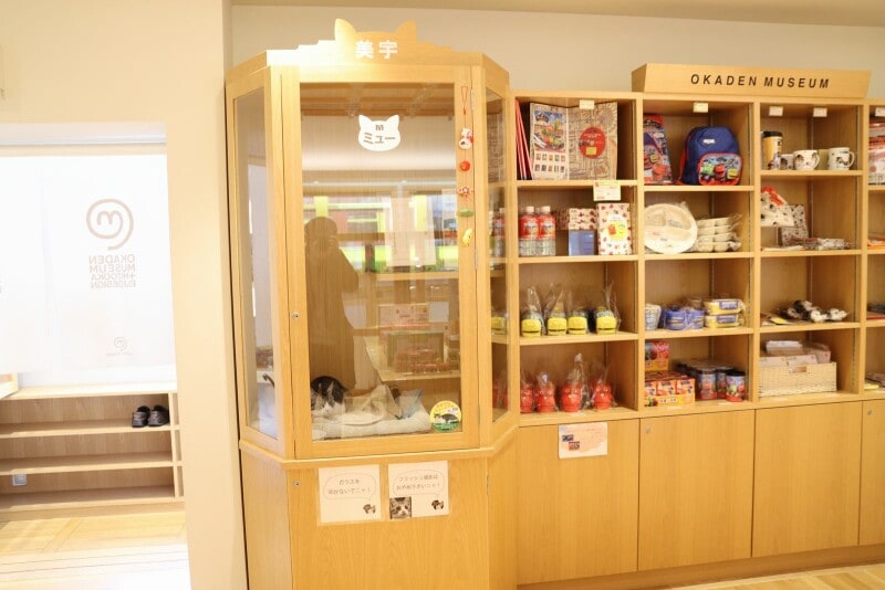 ネコ館員ミュー